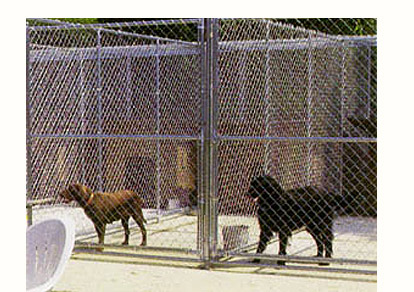 [ Oak Grove Dog Kennels ]